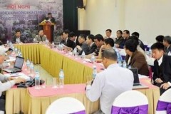 Bảo tồn đàn voi Việt Nam