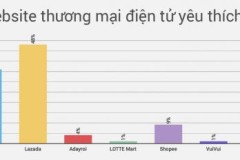 Tiki, Lazada là web bán hàng online được yêu thích nhất, MoMo dẫn đầu mảng ví