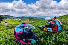 4 đồi chè thơ mộng đẹp ngất ngây dành cho dân Phượt