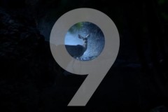 Samsung Galaxy S9 lộ diện những video teaser đầu tiên trước khi ra mắt