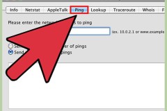 Hướng dẫn tìm địa chỉ IP của website nhanh chóng