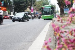 Hà Nội: Dừng triển khai tuyến buýt nhanh BRT02 Kim Mã - Hòa Lạc