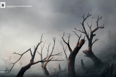 WFF Indonesia nhấn mạnh sự mất mát của các động vật hoang dã sau những trận hỏa hoạn