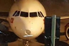Chim va vào tàu bay Vietjet 7 chuyến bay bị hủy