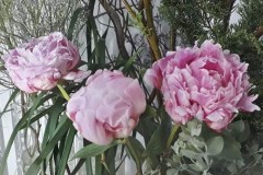 Cùng soi ảnh chụp từ camera của Galaxy J6 xem có gì đặc biệt