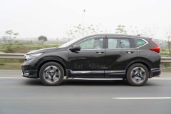 Hơn 2.800 xe ô tô nguyên chiếc các loại được nhập khẩu về Việt Nam