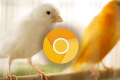 Hướng dẫn thay đổi giao diện Google Chrome sang Material Design 2