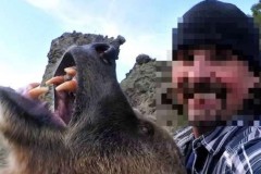 Selfie với gấu, người đàn ông bị cắn tử vong