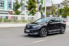 Từ 18 - 25/5, 939 ô tô nguyên chiếc các loại được nhập khẩu về nước