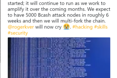 Lời đe dọa tấn công Bitcoin Cash: ” Chuẩn bị mà khóc đi, Roger”