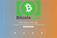 Bitcoin Cash Stress Test – Tuyên ngôn hùng hồn của BCH
