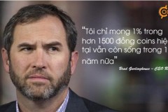 CEO Ripple: “Bitcoin hay Ripple đều sẽ có đất sống – 2019 sẽ là năm của Ripple”