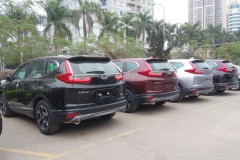 Lượng Honda CR-V, Civic nhập khẩu đột ngột giảm mạnh