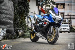 Suzuki GSX-R1000 vẻ đẹp rạng ngời từ cá heo xanh nhà Suzuki