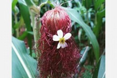 Xả xì trét với những bức ảnh hài hước nhất trên facebook ngày chủ nhật