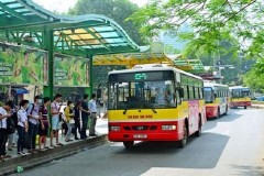 Xe buýt Hà Nội đã tiếp cận đến 100% các trường học, bệnh viện