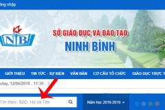 Hướng dẫn tra cứu điểm chuẩn vào lớp 10 qua mạng Internet