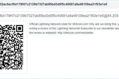 49% Bitcoin Lightning Network được chiếm giữ chỉ bằng một node