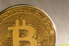 Bitcoin sẽ là vua của tháng 7 khi dòng tiền mặt đang di chuyển từ các token sang BTC.