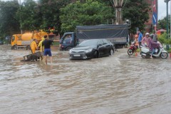 Dịch vụ mò biển số, chở người bằng xe bò “hốt” bạc triệu ngày mưa lũ