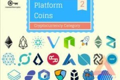 Phân khúc thị trường coin 2: Platform