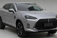 Thương hiệu WEY của Trung Quốc cũng đã nhảy vào phân khúc crossover/SUV coupe