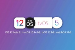 Apple phát hành bản cập iOS 12 beta 9 cho các nhà phát triển