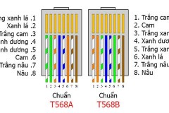 Hhướng dẫn cách bấm dây mạng chuẩn nhất với vài bước nhanh gọn