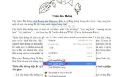 Hướng dẫn lấy nội dung của những trang web không được cho phép