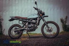 Chiêm ngưỡng cào cào Kawasaki KLX 250 phong cách Vinduro