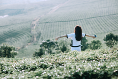 Du lịch Đà Lạt 4 ngày 3 đêm theo phong cách 'Phượt thủ' với chi phí siêu rẻ