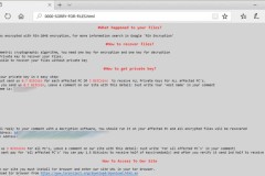 Hacker thu được 5,9 triệu USD từ mã độc tống tiền mang tên SamSam