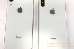 Thông tin chi tiết về mẫu giá rẻ iPhone 6.1 inch của Apple