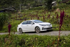 Tháng 7, doanh số xe lắp ráp Toyota tại Việt Nam tăng 50% so với cùng kỳ năm trước