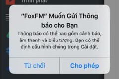 Cách tải video trên iPhone bằng FoxFM