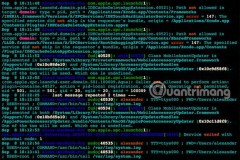 Cách thêm terminal code được mã hóa màu vào Microsoft Word
