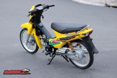 Wave phẫu thuật toàn diện đầy sang trọng, lịch lãm