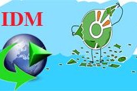 Khắc phục IDM lại tự động bắt link download trên trình duyệt Cốc Cốc