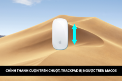 Điều chỉnh thanh cuộn trên 'chuột', Trackpad bị ngược trên macOS