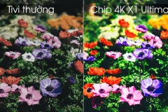 Tìm hiểu về một số công nghệ hình ảnh đặc biệt có trên tivi Sony