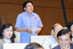 ĐBQH truy vấn về việc thuế nhập khẩu tô tô còn 0% mà sao giá xe không giảm