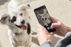 Google Pixel 3 và Pixel 3 XL có thể chụp ảnh đẹp hơn cả iPhone Xs
