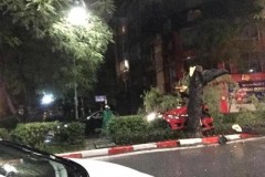 Hà Nội: Xe sang nhà Mercedes "hạ gục" cây cổ thụ chỉ bằng một cú đâm