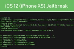 Hacker Trung Quốc bẻ khóa thành công iOS 12 ngay trên chiếc iPhone XS