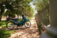 Wave độ được tạo nên bằng những mảnh ghép đắt tiền