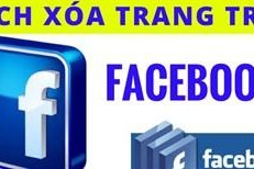 Hướng dẫn cách xóa fanpage trên Facebook đơn giản nhất