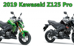Kawasaki Z125 Pro 2019 ra mắt với phiên bản tem mới đầy cá tính