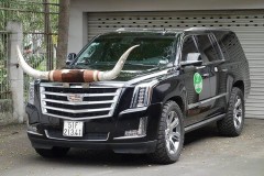 SUV sang cỡ lớn Cadillac Escalade ESV được ông chủ Võng xếp Duy Lợi gắn thêm cặp sừng