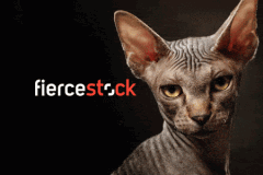 Shutterstock triển khai chiến dịch Marketing sau tận 6 năm nhằm nâng cao vị thế