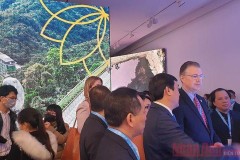 Google Art & Culture tôn vinh Kỳ quan Việt Nam